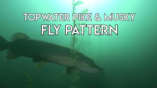 Topwater Pike amp Musky Pattern  How to Rig [upl. by Nylissej165]