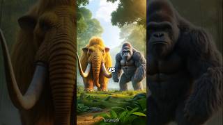 Mammoths vs 10 icredible animal pusiontigerlionwolfleopard animals animal tiger lion [upl. by Lledniuq]