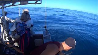 Double Island Point Charters Jigging September [upl. by Krid]