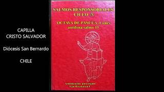 38 CICLO A B C LUNES DE PASCUA Salmo responsorial [upl. by Sanderson]