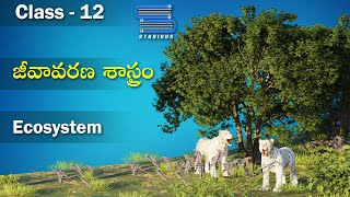 జీవావరణ శాస్త్రం  Ecosystem  Ecosystem Chapter  Biology Telugu  Class 12 Bipc 2nd year  Botany [upl. by Adrianna]