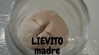 LIEVITO MADRE FATTO IN CASA [upl. by Namharludba408]