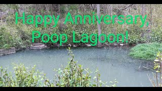 1 Year Anniversary of the Brook Street Poop Lagoon and Sht Creek Carrick Pittsburgh [upl. by Stanton]