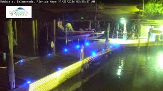 Robbies Marina Islamorada [upl. by Leisam]