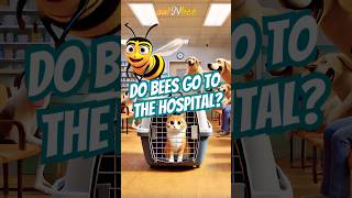 Do Bees Go to the Hospital🙀🐝🩺 cat bee shorts funny animation [upl. by Sofko357]