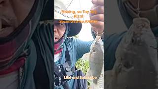 SOLO FISHING SA TAY TAY RIZAL second strike Aroyo shortvideo fishing [upl. by Archie768]