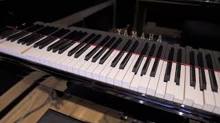 Piano Comparison  Yamaha C5X vs Steinway D [upl. by Yrnehnhoj376]