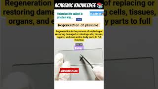 Regeneration of Planaria 🔥 ReproductionBiologyby Ashish sir cbse biology shorts reproduction [upl. by Namron428]