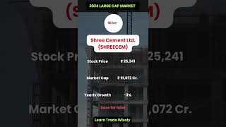 Large Cap Stocks  Shree Cement ltd  2024  Part 38 [upl. by Connel730]