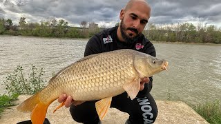 CONCURSO EN EL PESCODROMO  RIO GUADALQUIVIR  COLETASCARP  SUPERBAITS [upl. by Iormina]