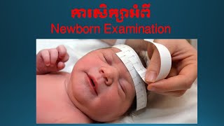 Newborn Examination [upl. by Halley10]