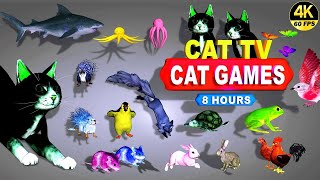 CAT GAMES  THE MOST FAVORITE MOVIE FOR CATS TO WATCH  CAT TV COMPILATION 4K 8 HOURS  🐱 [upl. by Giffer]