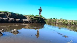 DÍAS DE PESCA Y AVENTURA por rios arroyos y campos PESCA URBANA [upl. by Eerok]