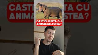 Ai putea să CÂȘTIGI o luptă cu ANIMALELE astea [upl. by Branden]