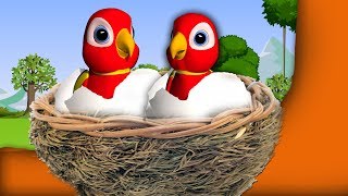 Telugu Rhymes for Children  Chinnari Patalu chettumeda pitta Little Birds Songs for kids [upl. by Larkin751]