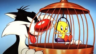 I TAWT I TAW A PUDDY TAT  ULTIMATE COMPILATION every single clip [upl. by Henigman]