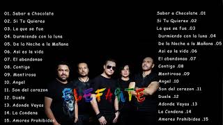 ELEFANTE MIX GRANDES EXITOS 2021 [upl. by Almap750]