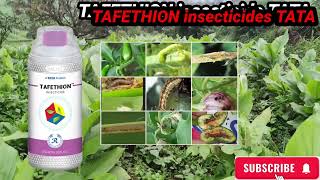 Tafethion insecticide TATA Ethion 50� [upl. by Euqinor905]