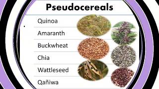 Pseudo CerealsSuper Foods Non Conventional Foods One way to Fight Malnutrition English [upl. by Knobloch310]