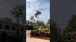 Gurudwara✨Janam Asthan💞Nankana Sahib🙏🏻 explore ytshorts travel nanakanasahib gurdwara [upl. by Samau174]