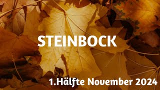 Steinbock 1 Hälfte Nov 2024  veränderte Zielsetzung [upl. by Eceinaj318]