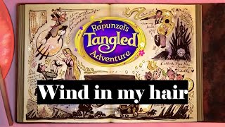 Rapunzelss Tangled Adventure Wind in my hair lyrics [upl. by Ecirtak]