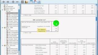 SPSS Einführungsvideo 5  Faktorenanalyse am Beispiel von Audi [upl. by Janelle]