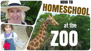 🐆 How To Turn A Zoo Trip Into A HOMESCHOOL DAY  Free Printable Download in the Description 🐆 [upl. by Susy]