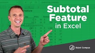 How To Use The Subtotal Feature And Subtotal Function In Excel [upl. by Nyluqcaj]