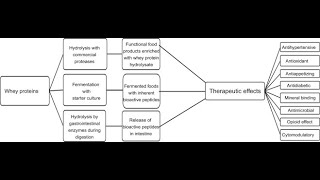 A New AntiFatigue Whey Peptide [upl. by Lenej]