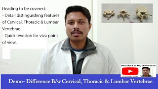 Difference between cervical thoracic amp Lumbar vertebrae I Key identification points I Dr Vibhash [upl. by Nelloc]