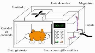 ¿Cómo funciona un horno de microondas  microwave [upl. by Ibmat]