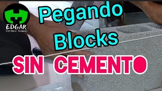 Pegando Bloks Sin Cemento lachikifamilia721 [upl. by Lokim7]