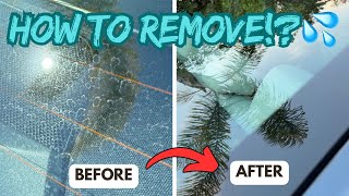 Get Rid Of Water Spots From Your Car The ONLY Video Youll Need to Watch OQ Detailing [upl. by Buchanan678]