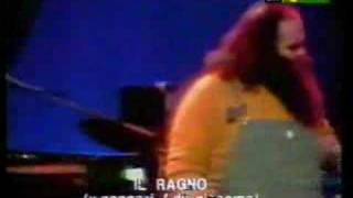 Banco Del Mutuo Soccorso  Il Ragno Live [upl. by Yatnuhs]