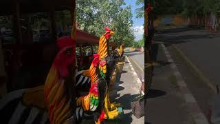 Giant Thai Roosters Hua Hin Temple huahin thailand [upl. by Asirrac]