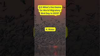 FAQS on World Migratory Birds Day 2023 [upl. by Ylekalb]