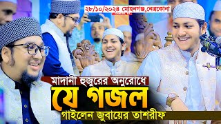 মাদানী হুজুরের অনুরোধে যে গজল গাইলেন।জুবায়ের আহমদ তাশরীফ।Qari Jubayer Ahmad Tasrif New Gojol 2024 [upl. by Carry550]