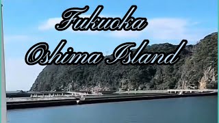 Fukuoka Oshima Island Japan  Izu Ōshima 伊豆大島 Izuōshima [upl. by Annoerb]