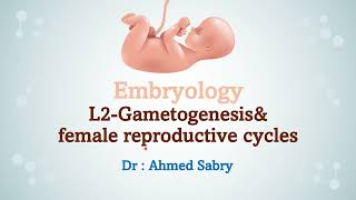 Embryology lecture 2  gametogenesis and female reproductive cycles [upl. by Myriam]