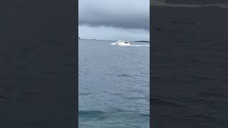 SPEED BOAT maldives travel boats 🛥️🛶🚣 [upl. by Tana]