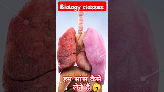 respiration सांस कैसे लेते हैRespiration shortvideo reels biology science [upl. by Enomes]