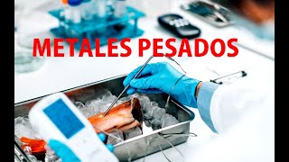 Lo que debes saber sobre los Metales Pesados que acumulamos en el Cuerpo [upl. by Ninahs]