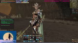 Lineage 2 Gameplay Reborn X15 [upl. by Restivo977]