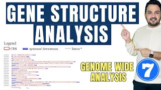 Gene structure analysis  UTR CDS  Intron Exon  Genome wide analysis tutorial 7 [upl. by Araik891]