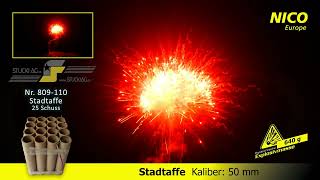 809110 Stadtaffe [upl. by Kcered]