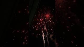 Canister shell fireworks rockets fireworks shorts [upl. by Dorfman]