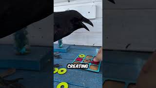 This man plays Tic Tac Toe with a crow 😂 [upl. by Mas90]