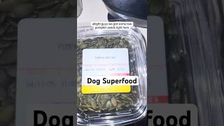 Dog superfood amp natural worm defense for raw feeders pumpkin seeds [upl. by Iiette]