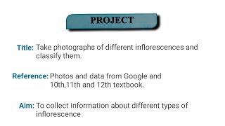 Different types of inflorescence Biology project class 11th amp 12th [upl. by Gilbert]